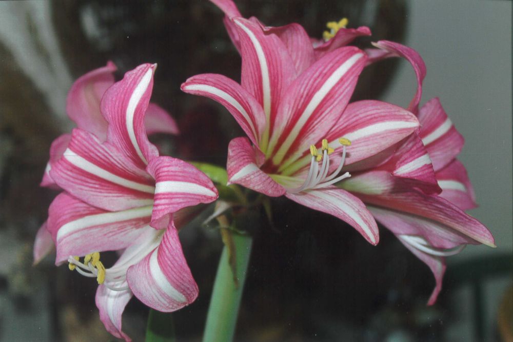 The Heart of the Matter