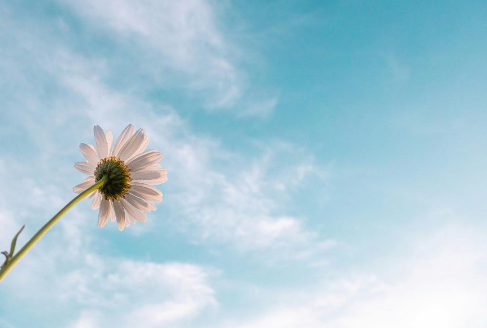 Hope