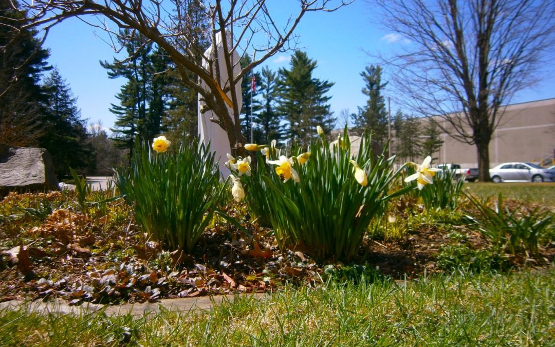 Signs of Rebirth