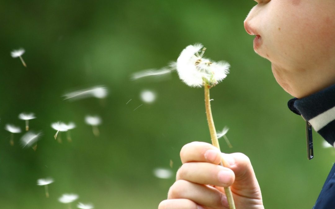The Breath of Jesus